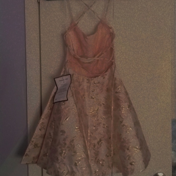 Pink/Champagne Backless Embroidered Dress - Picture 3 of 4